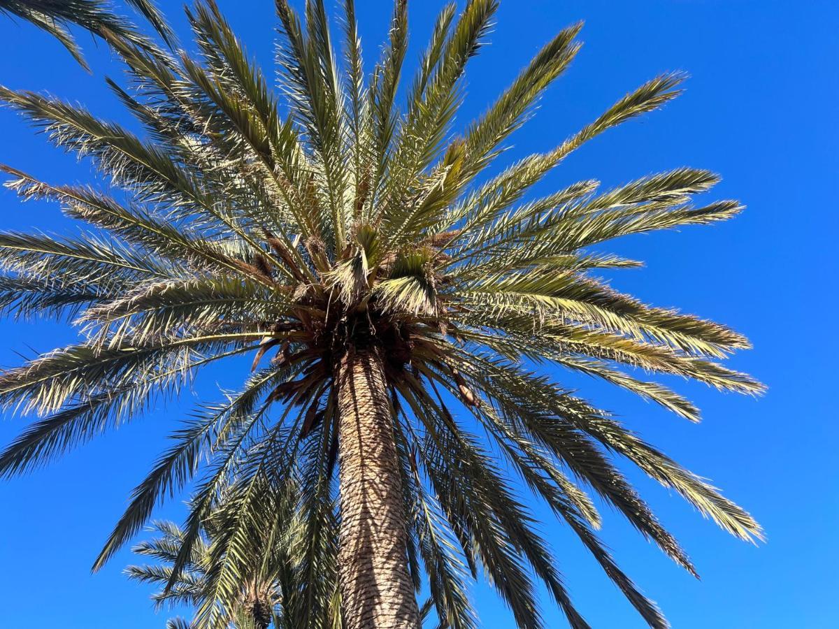 Fincasol San Sebastián de la Gomera Kültér fotó